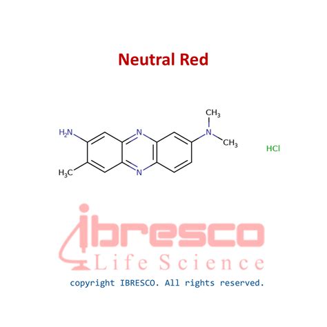 Is Neutral Red A Base