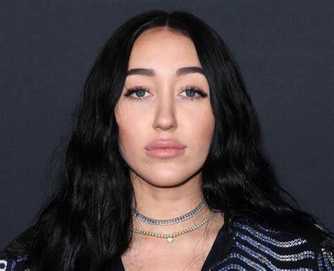 Exploring The Identity Of Noah Cyrus: Is Noah Cyrus Trans?