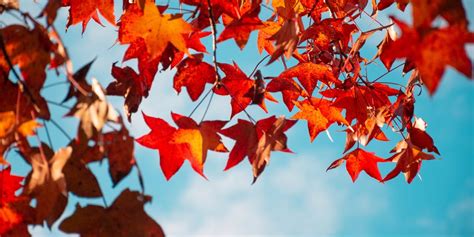 Is October Still Fall