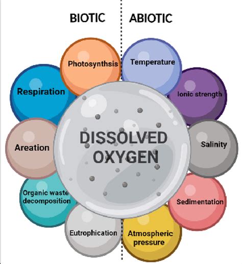 is oxygen abiotic