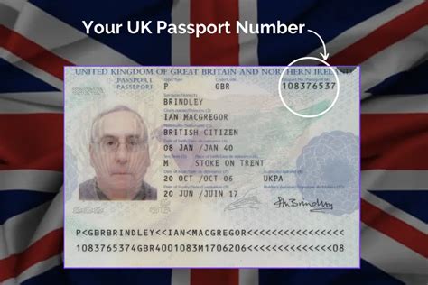 is passport number and identification number same
