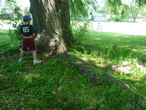 Is Peeing On A Tree Illegal