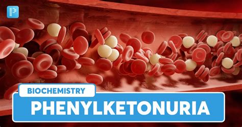 Is Phenylketonuria Curable
