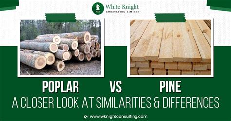 Is Pine Or Poplar Better