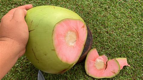 Is Pink Coconut Water Good For You