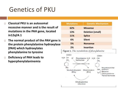 Is Pku Hereditary