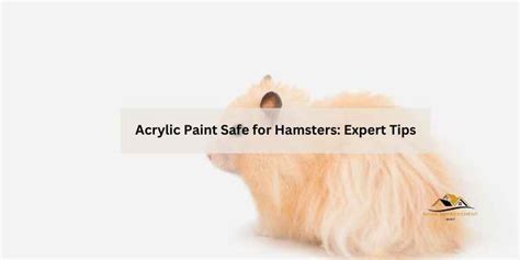 Is Polyurethane Safe For Hamsters