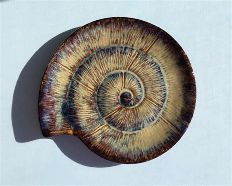 Is Pottery Example Of A Fossil