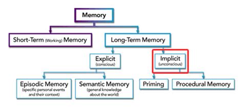 is procedural and implicit memory the same