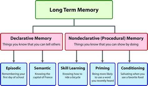 is procedural memory declarative or nondeclarative