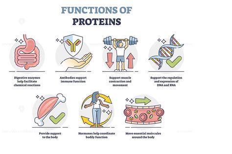 Is Protein Function