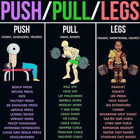 Is Push Pull Legs A Good Routine