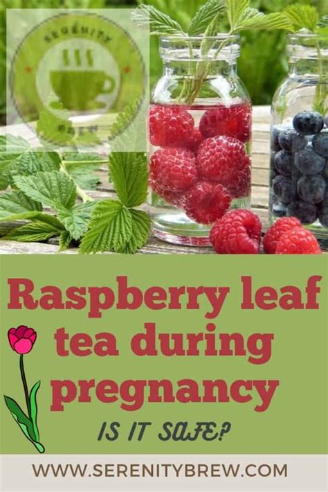 is raspberry leaf tea safe when trying to conceive