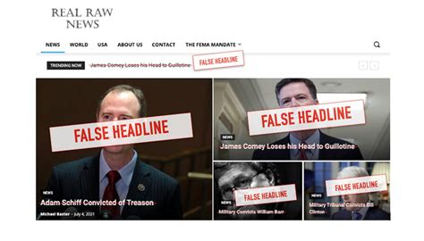 is raw story a fake news site