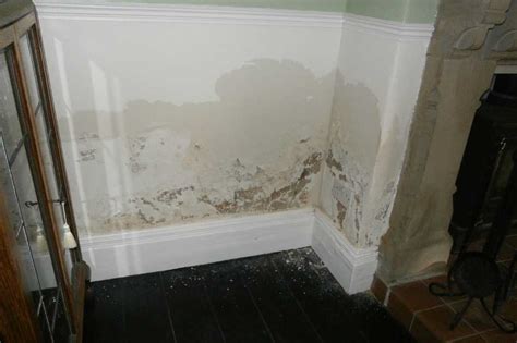Lets See Is Rising Damp Real Ideas