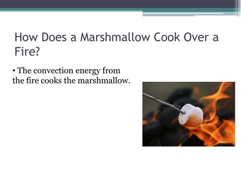 Is Roasting A Marshmallow Convection