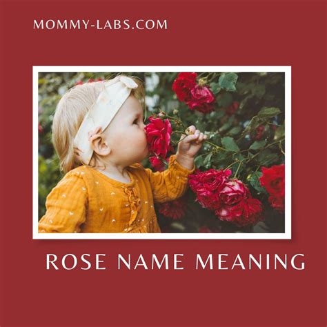 Is Rose An Old Name