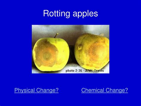 is rotting fruit chemical or physical