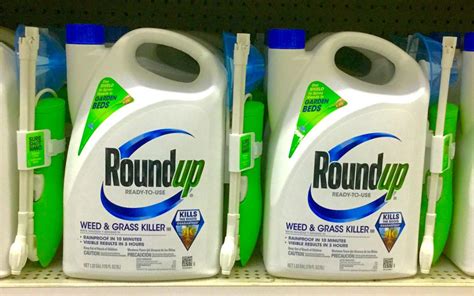 is roundup bad for you