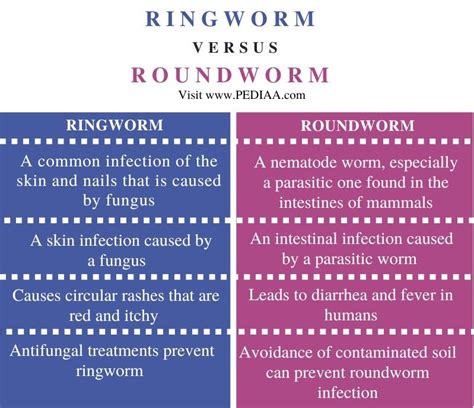 is roundworm and threadworm the same