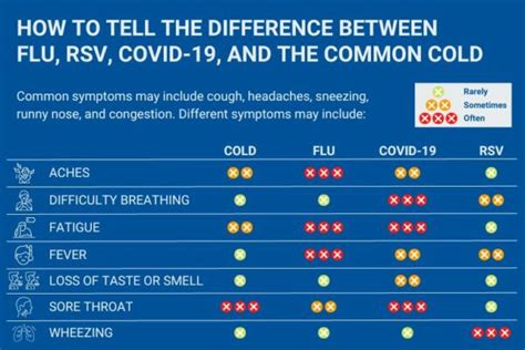 is rsv just the flu