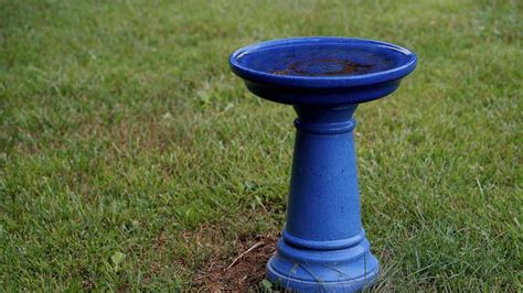 Is Rustoleum Safe For Bird Baths