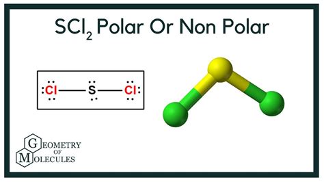 is scl2 polar or nonpolar molecule