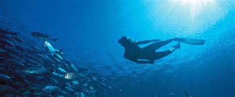 Is Scuba Diving Safe In Maldives