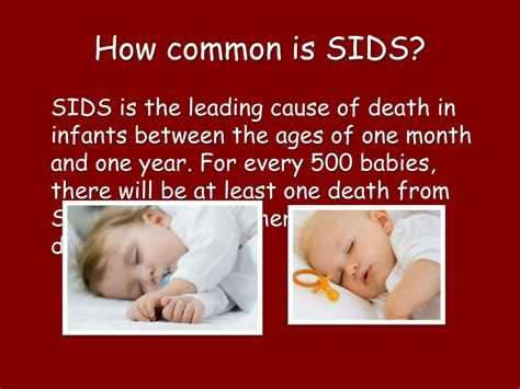 Is Sids Still Common