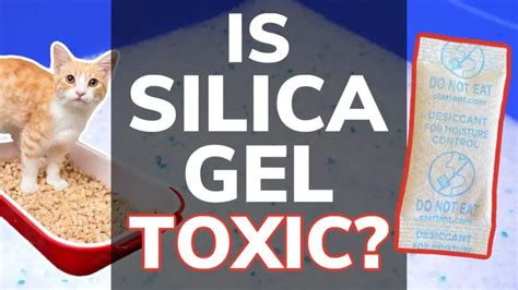 is silica gel harmful to cats