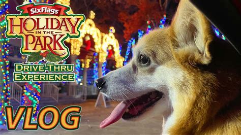 Is Six Flags Dog Friendly