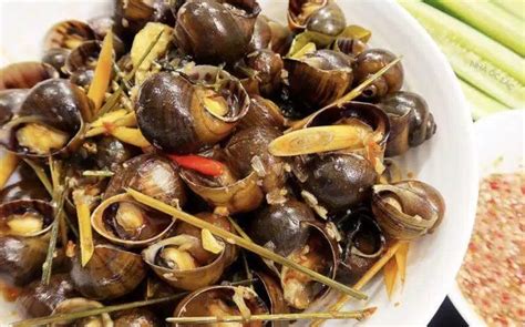 is snail good for pregnant women