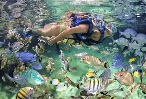 is snorkeling good in punta cana