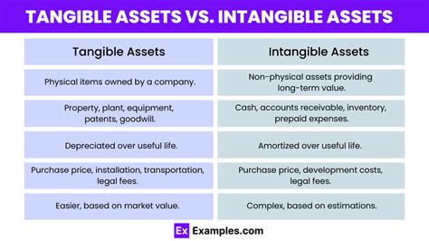 is software a tangible or intangible asset