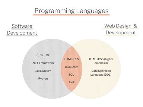 is software development and programming the same