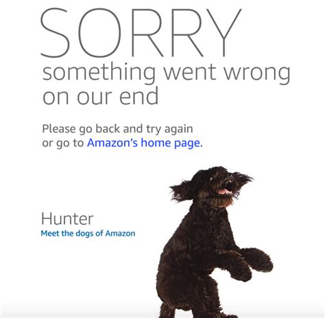 is something wrong with the amazon website