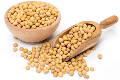 Is Soy Lecithin A Tree Nut