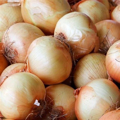 Is Spanish Onion A Sweet Onion