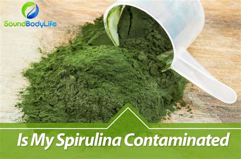 Is Spirulina Contaminated