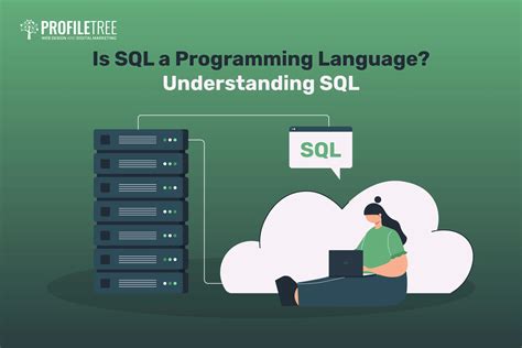 is sql a programming language or framework