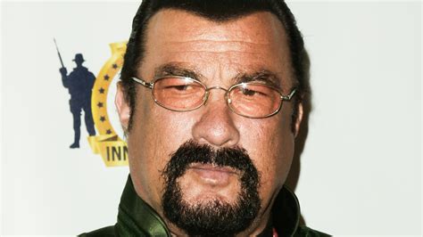 is steven seagal really a martial arts expert