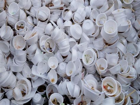 Is Styrofoam Recyclable Gfl