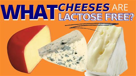 is swiss cheese ok for lactose intolerant