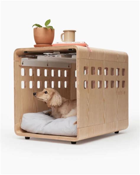 Is Table Table Dog Friendly