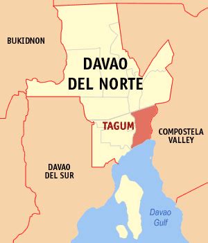 is tagum part of davao city