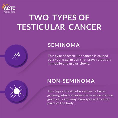 is testicular cancer genetic