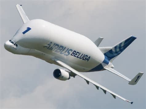 is the airbus beluga real