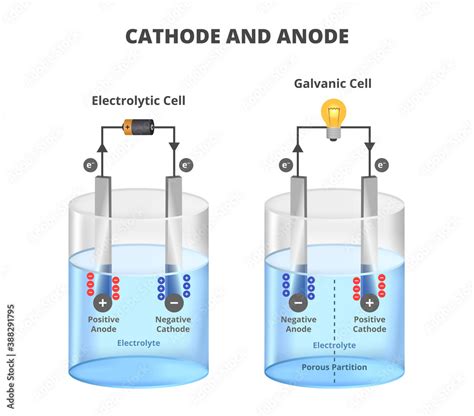 Is The Cathode Positive Or Negative In An Electrolytic Cell