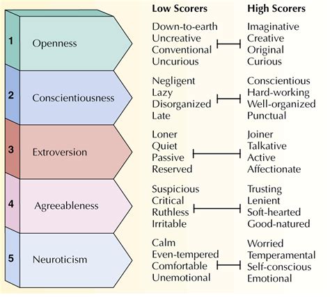 Is The Five Factor Model A Theory