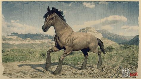 is the mustang a good horse in rdr2 online